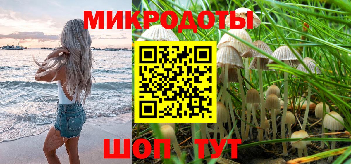 Красноуфимск  Псилоцибиновые грибы прущие грибы  Вход с VPN  Псилоцибиновые грибы Psilocybine cubensis 